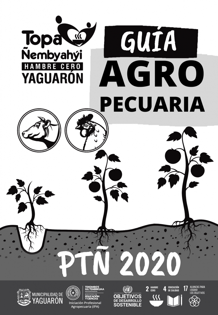 GUIA AGROPECUARIA PTÑ 2020”